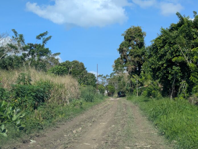 La mujer fue localizada en una vía agrícola del sector Santa Cruz de Las Mercedes, municipio San Felipe