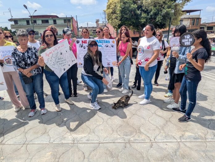 La concentración fue realizada la mañana de este domingo en la Plaza Don Teófilo Domínguez, en el municipio San Felipe.