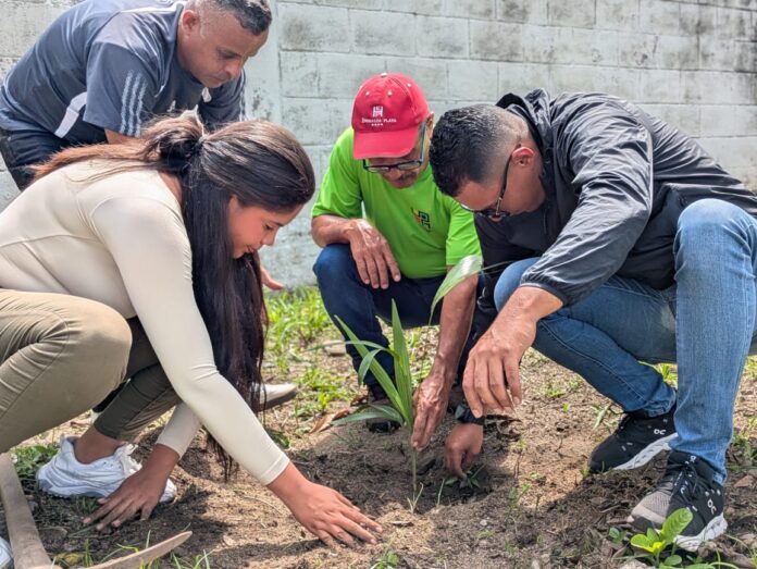 La actividad fue realizada en las áreas verdes de Casa Taller Cecilia Mujica, en el municipio Independencia.
