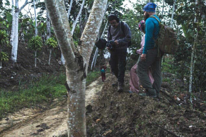 Barreto captura la esencia de una madrugada donde la luz de la luna y una pequeña linterna son los únicos guías.