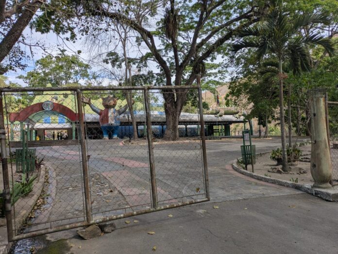 Los insectos se encuentran en un frondoso árbol ubicado cerca de una de las piscinas del parque