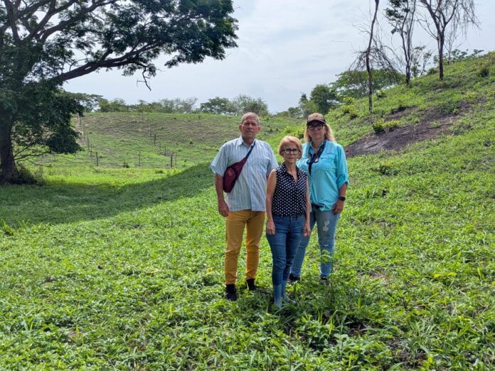 Los también productores dijeron que ellos forman parte de una asociación familiar que ha trabajado la tierra de manera por más de 60 años.