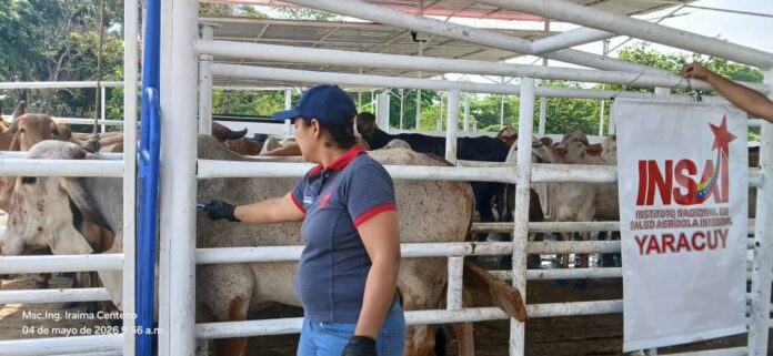 El llamado está dirigido a todos los propietarios de ganado bovino y bufalino en los 14 municipios de la entidad.