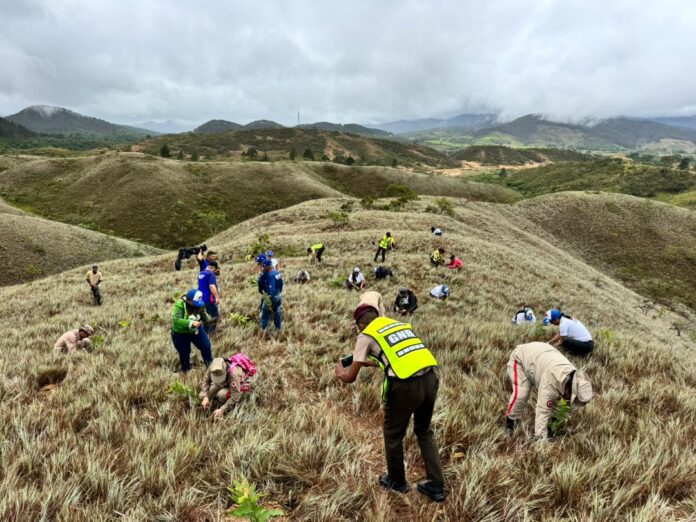 La iniciativa se desarrolla como parte fundamental de la BioRegión, conformada por los estados Yaracuy, Aragua y Carabobo.