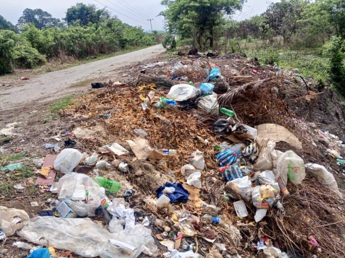 Dijeron que la acumulación descontrolada de basura está generando una severa contaminación ambiental en la zona.
