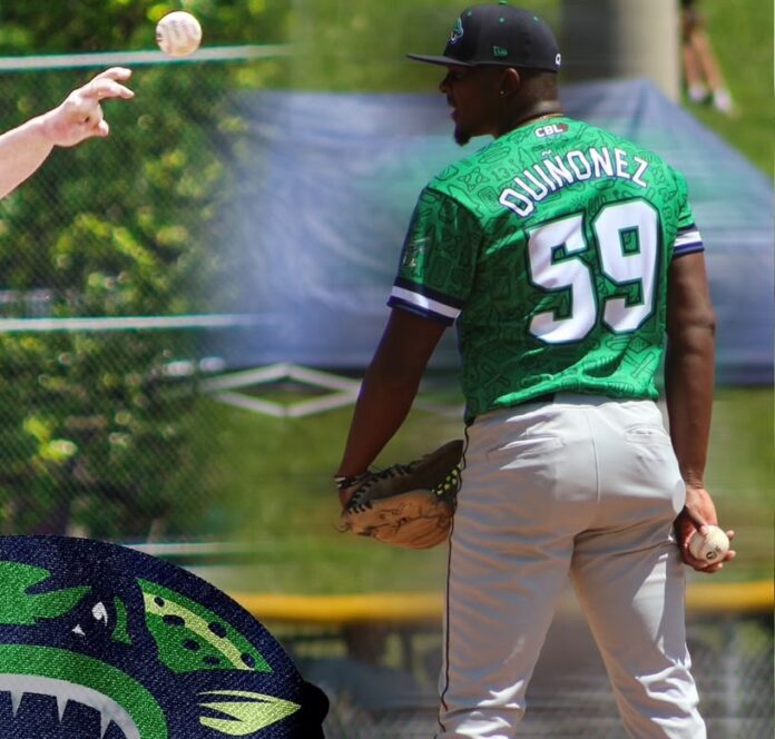 Quiere volver al béisbol organizado y que los equipos del béisbol invernal conozcan lo que puede hacer sobre la lomita