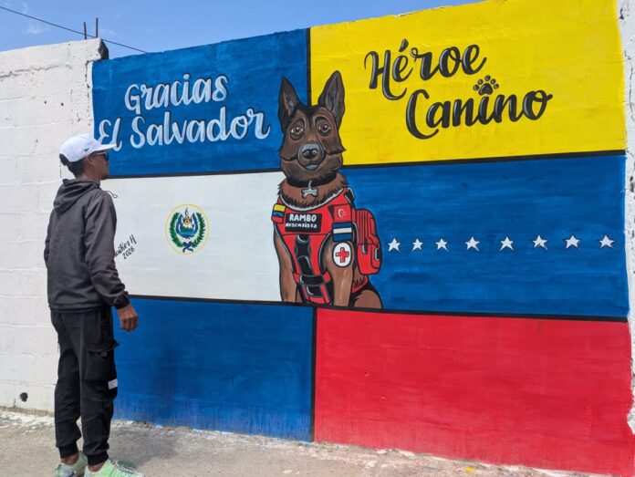 Este proyecto es del artista plástico Leonaiker Hernández, quien decidió plasmar a los rescatistas caninos que apoyaron las labores de emergencia en La Guaira
