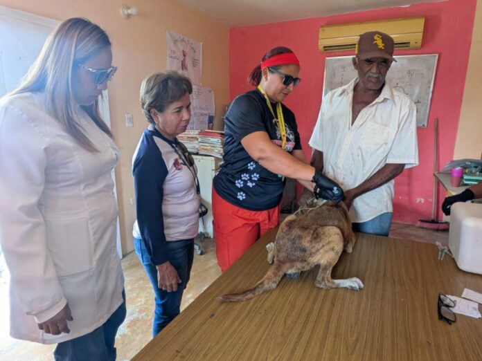 Yánez señaló que los casos confirmados en el país están controlados y en que en Yaracuy este plan inició en los municipios priorizados, donde se presenta mayor número de mordeduras: San Felipe, Independencia, Peña, Bruzual y Nirgua.