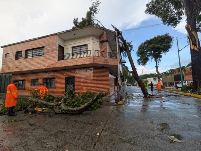 En la segunda avenida con calle 14 de la ciudad capital, una gran rama se desplomó sobre un edificio.