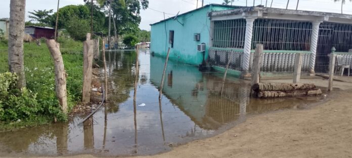 Algunos patios de viviendas están anegados