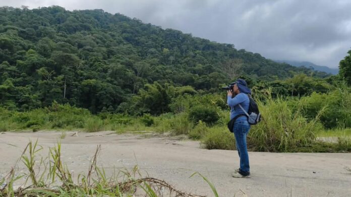 La hazaña local contó con la participación de 28 observadores yaracuyanos, quienes recorrieron parques públicos, reservas privadas, ríos, montañas y zonas urbanas