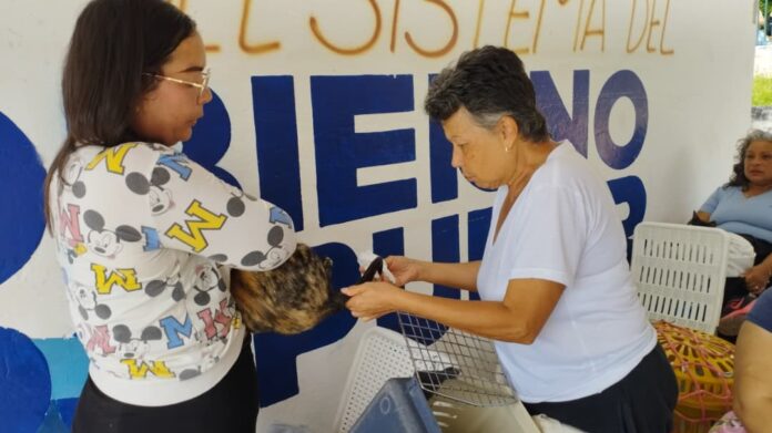 Castralat es una iniciativa internacional de esterilización de perros y gatos de manera simultánea