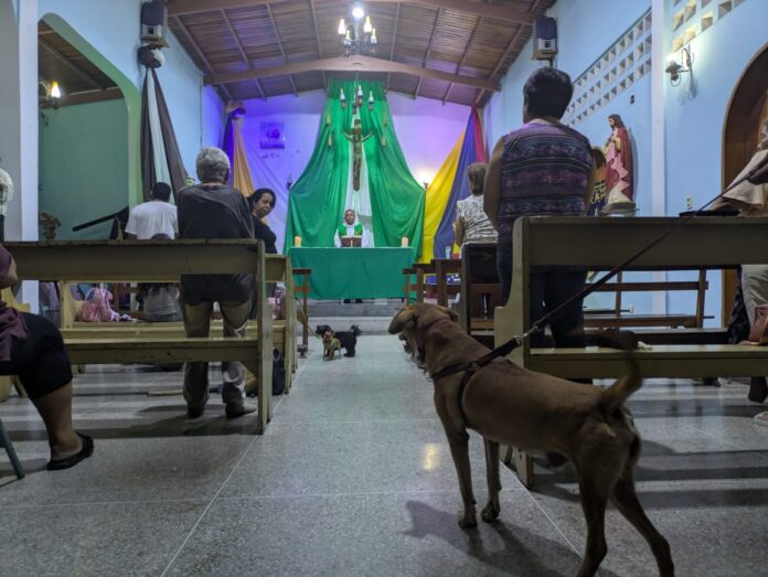 La celebración estuvo presidida por el padre Armando Martínez, vicario de la Catedral, quien bendijo a las mascotas que fueron llevadas al templo